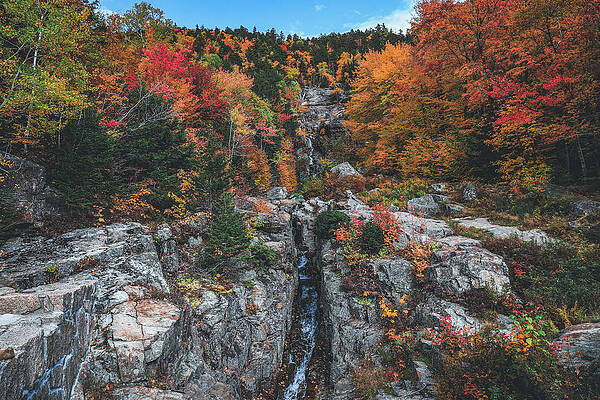 Wall Art featuring the photograph Silver Cascade Crawford Notch Autumn 2022 by Dan Sproul