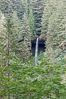 Natural Wall Art featuring the photograph Silver Falls, Oregon by KJ Swan