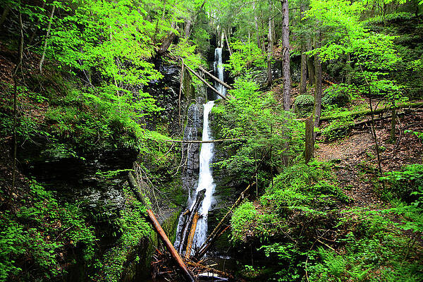 Wall Art featuring the photograph Silver Thread Spring Green 2 by Raymond Salani III