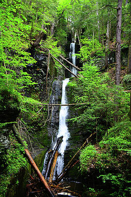Wall Art featuring the photograph Silver Thread Spring Green by Raymond Salani III