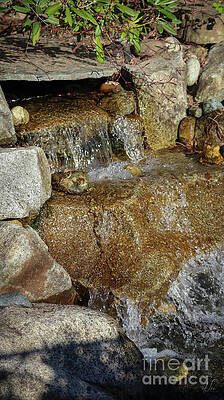 Natural Photograph - Simple Flow by D Lee