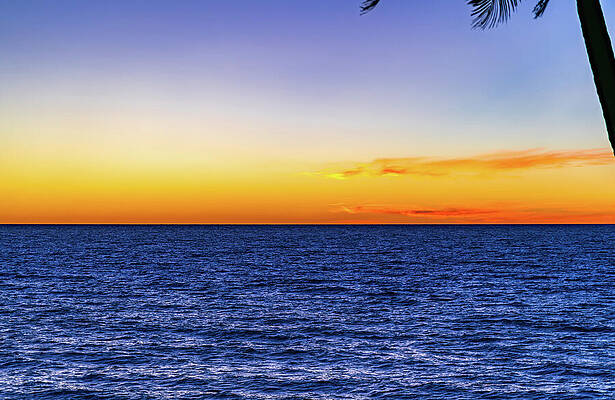 Mexico Wall Art featuring the photograph Simple Mazatlan Sunset by Tommy Farnsworth