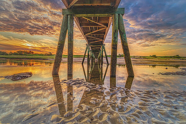 Reflection Photograph - Simple Pleasures by Penny Polakoff