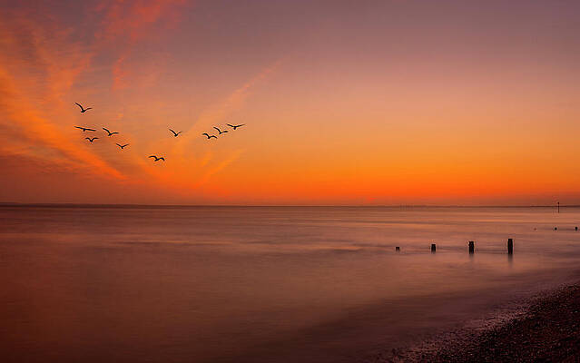 Landscape Photograph - Skies Of Selsey by Chris Boulton