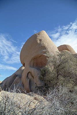California Wall Art featuring the photograph Skull Rock by Cindy Robinson