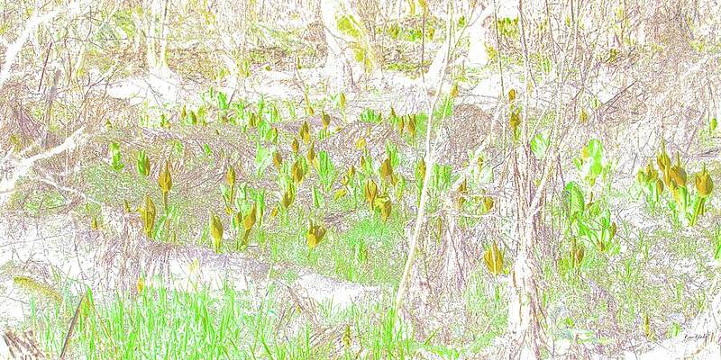 Wall Art featuring the photograph Skunk Cabbage by Bruce Block