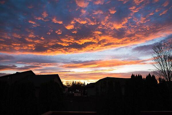 Sky Wall Art featuring the photograph Everson Sky Afire by Tom Cochran