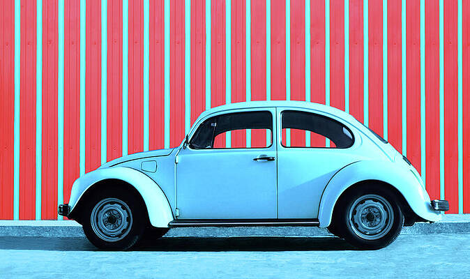 Happy Wall Art featuring the photograph Sky Blue Bug by Laura Fasulo