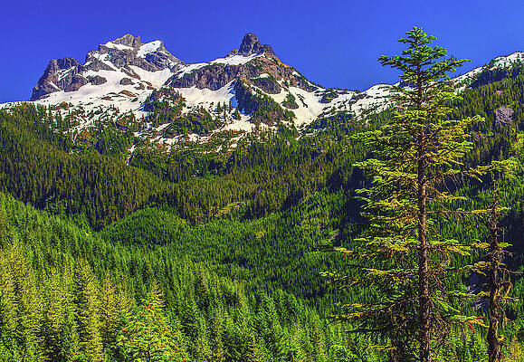 Mountain Photograph - Sky Pilot Mountain, British Columbia by Abbie Warnock