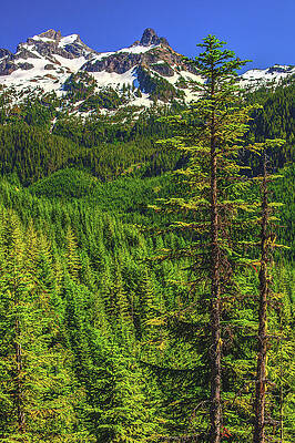 Mountain Photograph - Sky Pilot Mountain, British Columbia - Vertical by Abbie Warnock