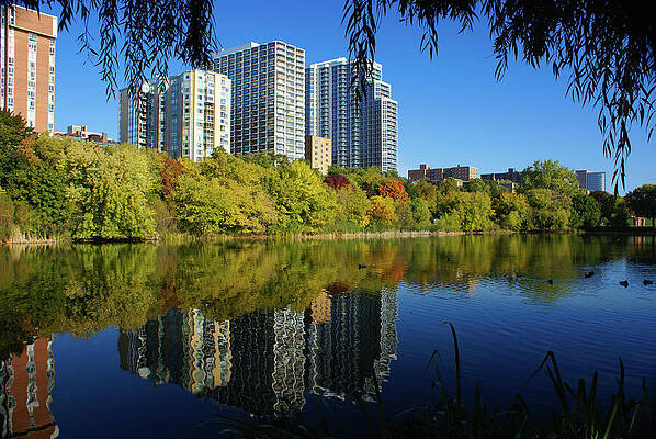 Wisconsin Photograph - Autumn Skyline From Under The Trees by Deb Beausoleil