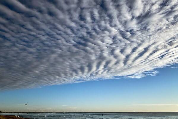 Serene Wall Art featuring the photograph Sky's Ballet Serene Seascape With Scattered Seagulls by Travel Essayist