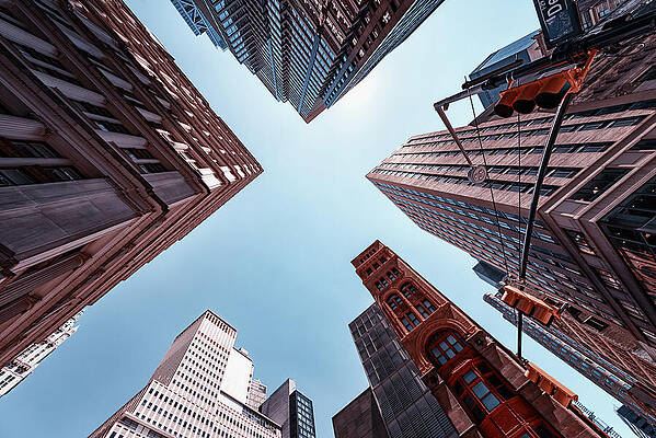 Skyscrapers Against a Clear Sky Wall Art