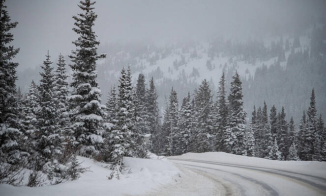 Natural Photograph - Slippery Slope, A Winter Landscape by Marcy Wielfaert