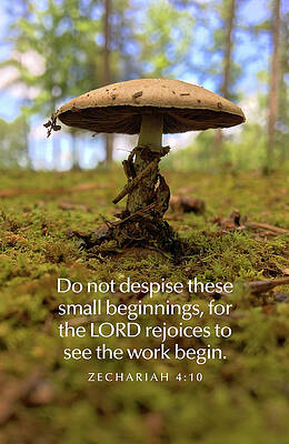 Christian Photograph - Small Beginnings by Greg Lane