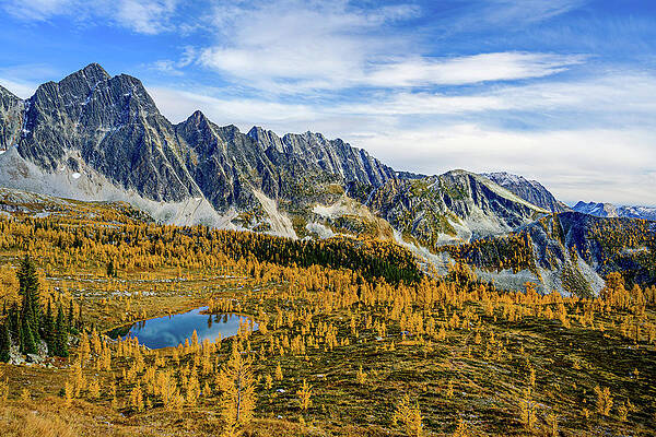 Tree Photograph - Small Blue Lake by Ursula Abresch