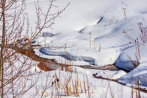 Wall Art featuring the photograph Small Brook Stream In The Snow by Tatiana Travelways