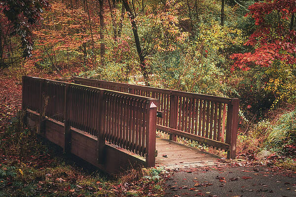 Nature Wall Art featuring the photograph Small Footbridge In Autumn - Trexler Nature Preserve by Jason Fink