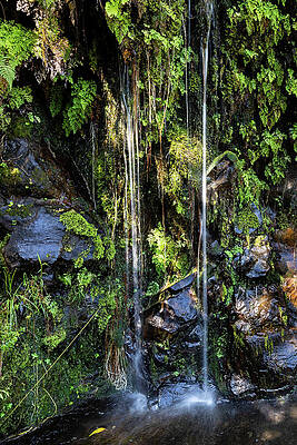 Beautiful Photograph - Small Waterfall by Craig A Walker