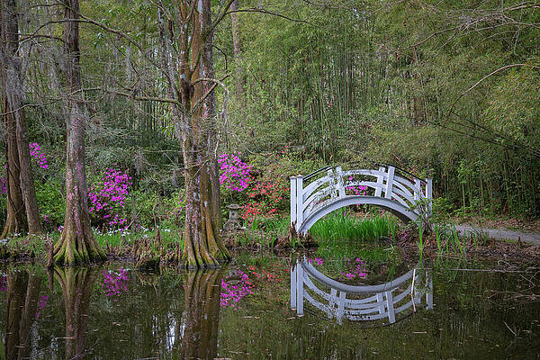 Serene Wall Art featuring the photograph Small White Bridge With Reflection by Cindy Robinson
