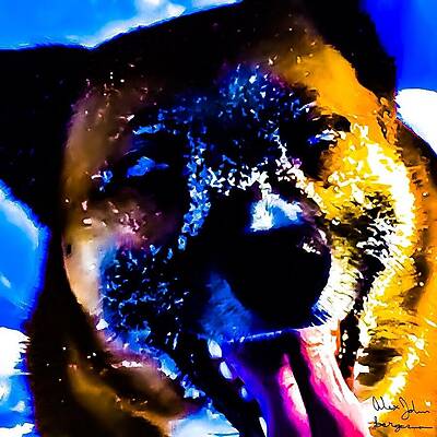 Wall Art featuring the photograph Sask- Smile by Alex John Bergerman