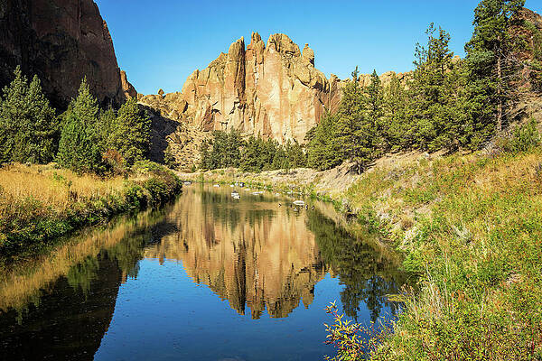 Oregon Photograph - Smith Rock Beauty by Diane Moller