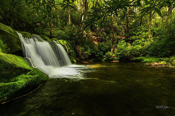 Appalachia Wall Art featuring the photograph Smoky Mountain Waterscape by Theresa D Williams Smoky Mountains