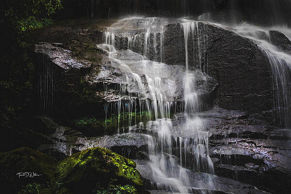 Appalachia Wall Art featuring the photograph Smoky Mountains A Thousand Drips by Theresa D Williams Smoky Mountains
