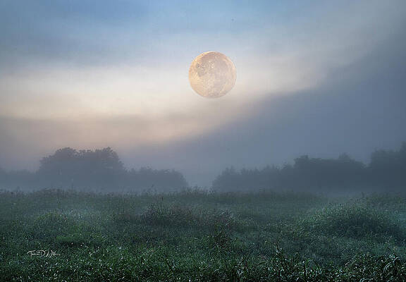 Sunrise Photograph - Smoky Mountains Blue Moon Morning by Theresa D Williams Smoky Mountains