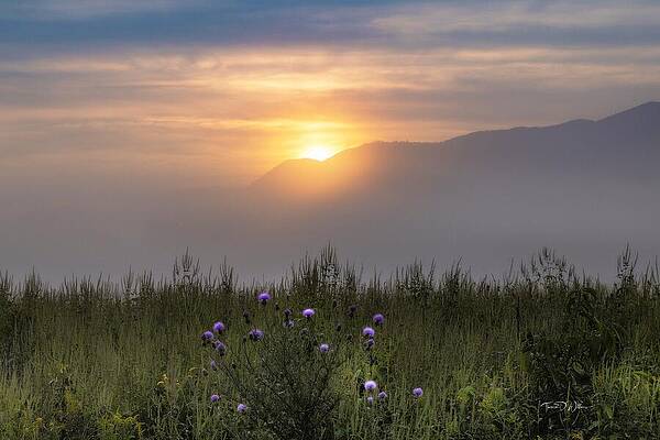 Sunrise Photograph - Smoky Mountains Cades Cove Sunrise by Theresa D Williams Smoky Mountains