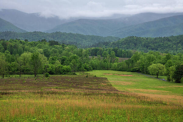 Wall Art featuring the photograph Smoky Mountains Morning by Marcy Wielfaert
