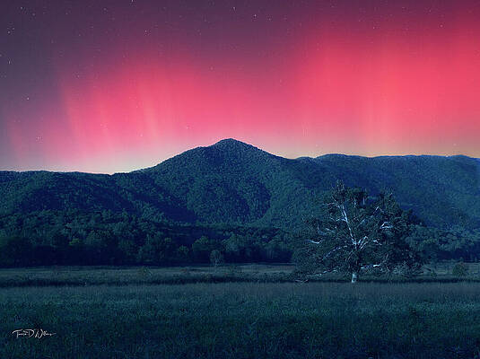 Sky Photograph - Smoky Mountains Northern Lights by Theresa D Williams Smoky Mountains