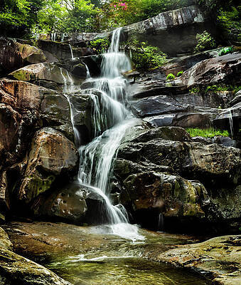 Appalachia Wall Art featuring the photograph Smoky Mountains Ramseys Cascades by Theresa D Williams Smoky Mountains