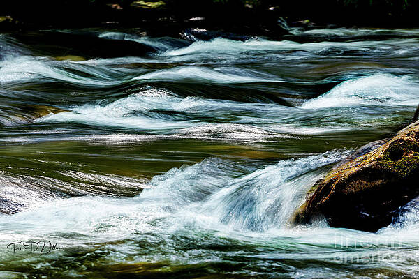 Smoky Photograph - Smoky Mountains Spring Water by Theresa D Williams Smoky Mountains