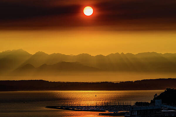 Seattle Wall Art featuring the photograph Smoky Sunset Seattle Washington by Tommy Farnsworth