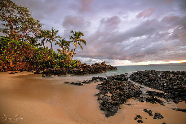 Hawaii Wall Art featuring the photograph Smooth Paako by Chris Spencer