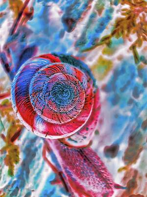 Colorful Wall Art featuring the digital art Snail In The Forest by Bruce Block