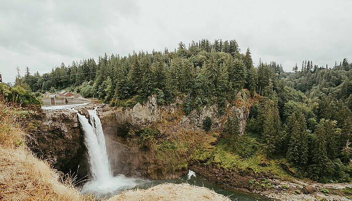 Majestic Waterfall in Forest Wall Art