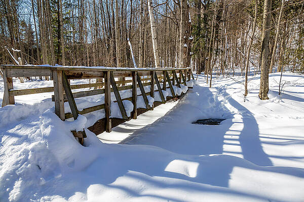 Winter Bridge in Snowy Forest Photograph