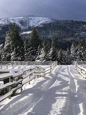 Winter Wall Art featuring the photograph Snow Covered Country Road, Falkland, BC, Canada by Tatiana Travelways