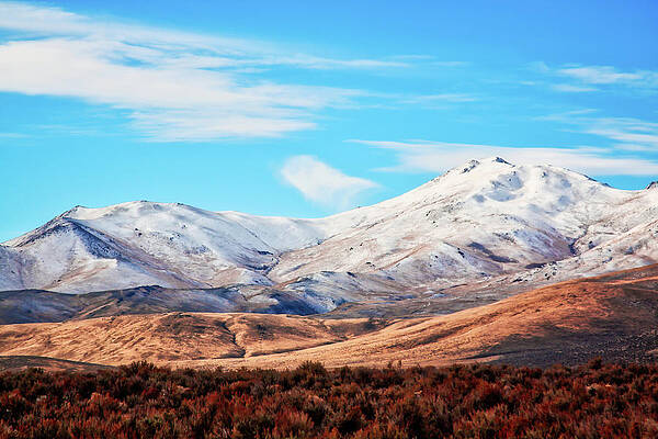 Wall Art featuring the photograph Snow Covered Rolling Hills, Nevada by Tatiana Travelways
