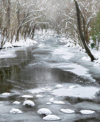 Serene Snow-Covered Riverbank Photograph
