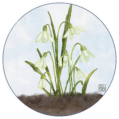 Flower Wall Art featuring the digital art Snow Drops by Snow Iris Studio