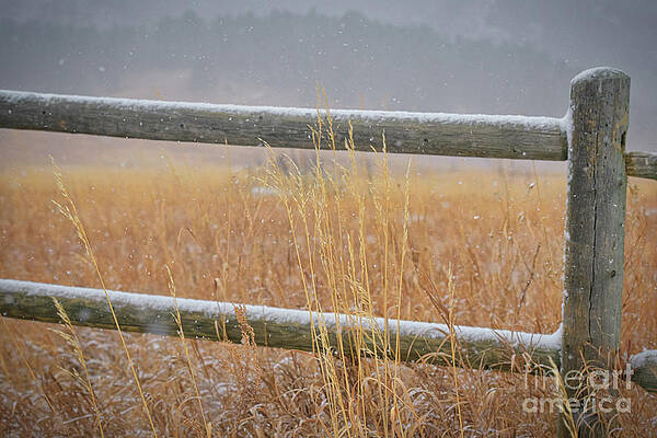 Outdoors Wall Art featuring the photograph Snow Dusted Fence At Chautauqua Park Flatirons Boulder Colorado by Abigail Diane Photography