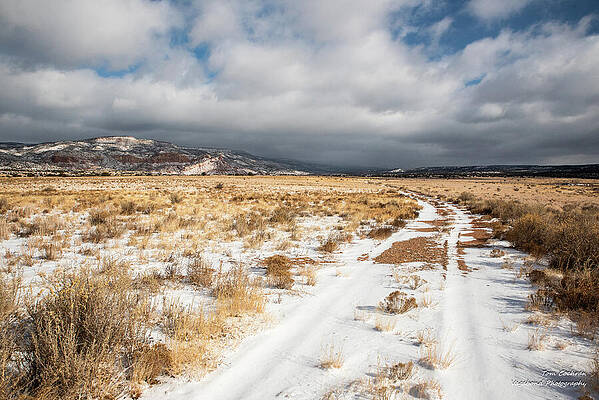 Remote Snowy Path in Desert Landscape Photograph