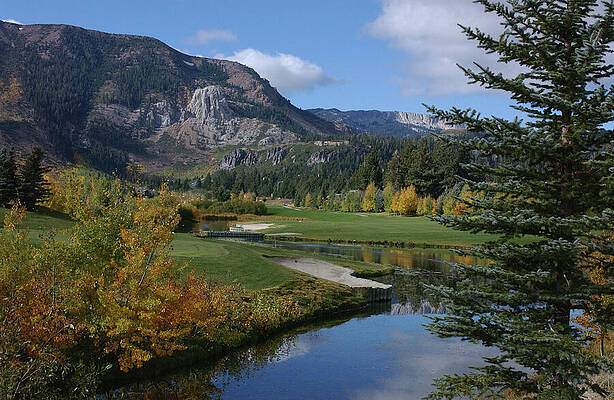 Wall Art featuring the photograph Snowcreek Golf Course - Mammoth Rock by Bonnie Colgan
