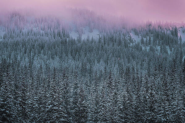 Moody Photograph - Snowfall And Sunset, Big Cottonwood Canyon, Utah by Abbie Warnock