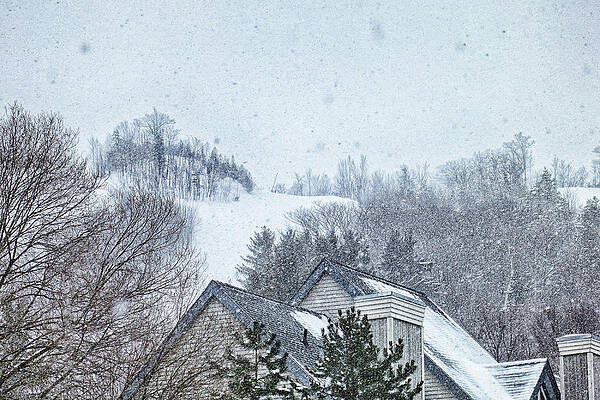 Winter Wall Art featuring the photograph Snowing Over The Blue Mountain Ski Resort, Ontario by Tatiana Travelways