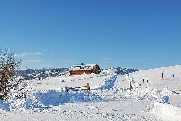 Snowy Cabin in Winter Landscape Wall Art