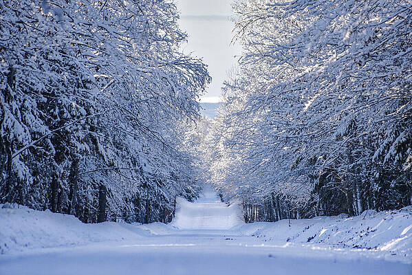 Michigan Photograph - Snowy Country Road by Vi Ray